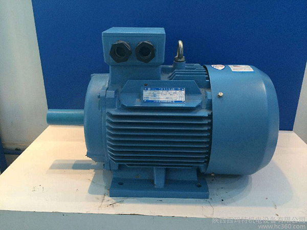 高效節(jié)能電機(jī)是西安泰富西瑪未來商業(yè)發(fā)展的方向。